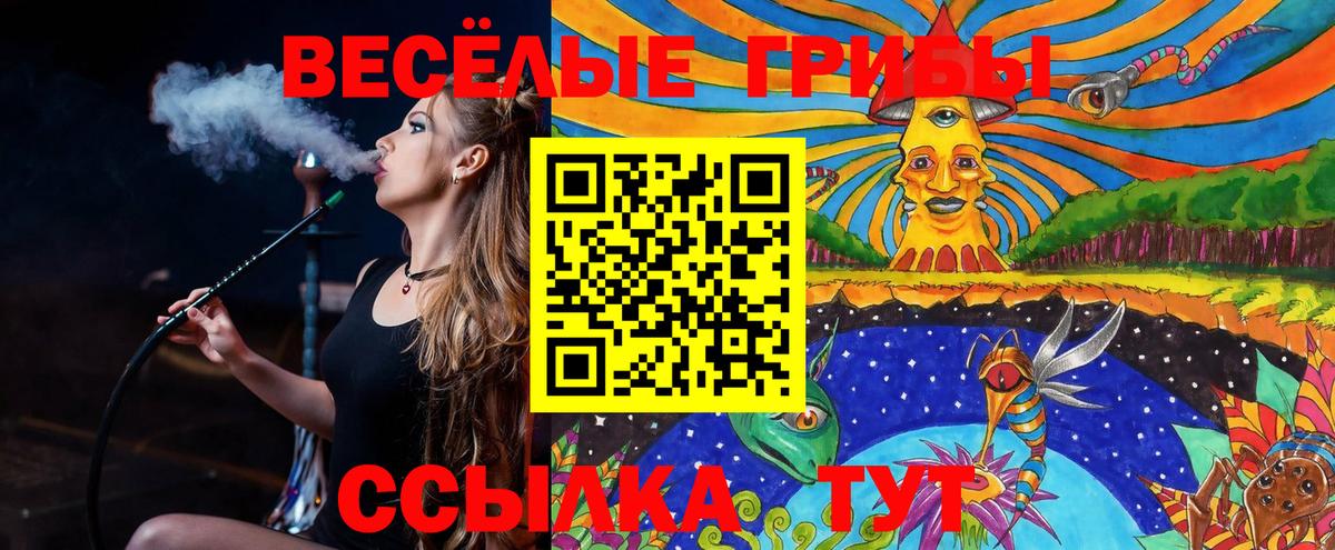 Галлюциногенные грибы Psilocybe  Вход с VPN  Галлюциногенные грибы GOLDEN TEACHER  Саратов 
