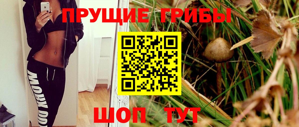 Галлюциногенные грибы мухоморы Саратов